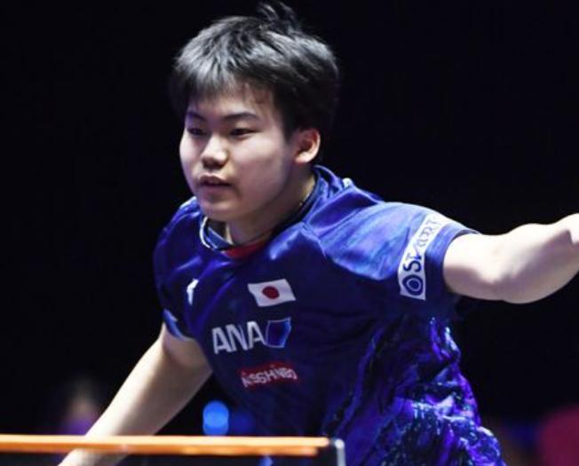 布鲁姆都展 布鲁姆都展